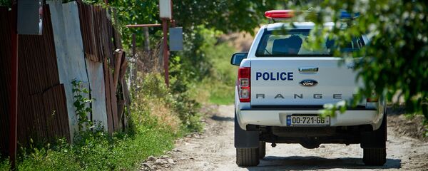 პოლიცია პოლიცია - Sputnik საქართველო