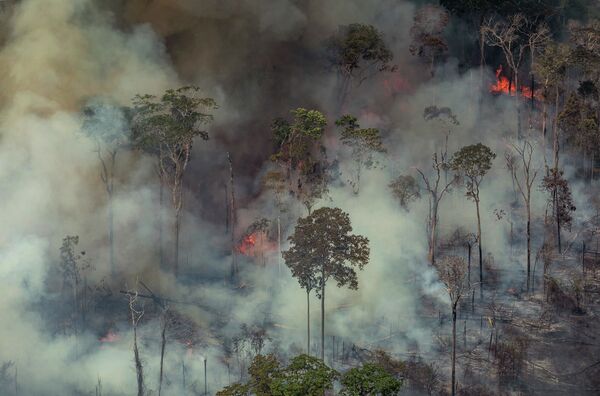 Лесные пожары в Бразилии  - Sputnik Грузия