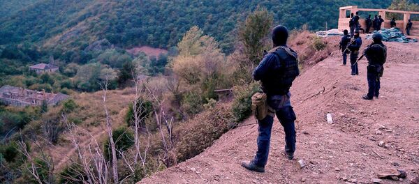 პოლიცია შიდა ქართლში - Sputnik საქართველო