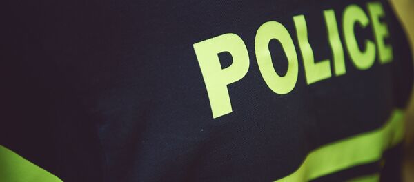 პოლიცია პოლიცია - Sputnik საქართველო