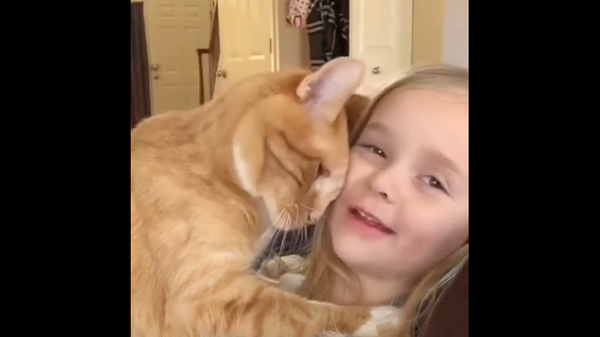 Ревнивый кот не хочет делить маленькую хозяйку с ее родителями – забавное видео - Sputnik Грузия
