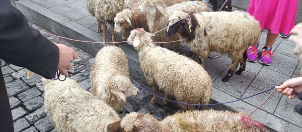 აქცია პარლამენტთან აქცია პარლამენტთან - Sputnik საქართველო