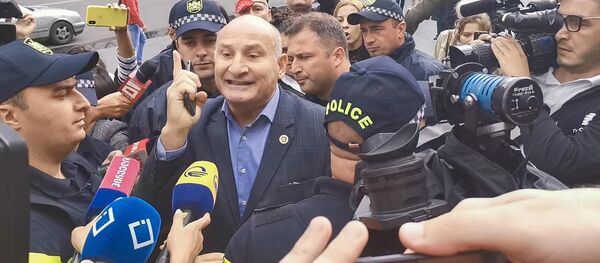 Эмзар Квициани на Акции протеста у парламента Грузии. 8 сентября 2019 - Sputnik Грузия