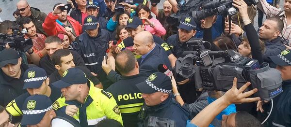 Эмзар Квициани на Акции протеста у парламента Грузии. 8 сентября 2019 Эмзар Квициани на Акции протеста у парламента Грузии. 8 сентября 2019 - Sputnik Грузия