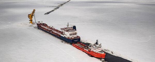 ფოტოგამოფენა: არქტიკა: ახალი საზღვრები ფოტოგამოფენა: არქტიკა: ახალი საზღვრები - Sputnik საქართველო