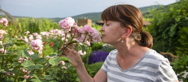 Ландшафтный дизанейр Марина Шутова-Гамсахурдия - Sputnik Грузия