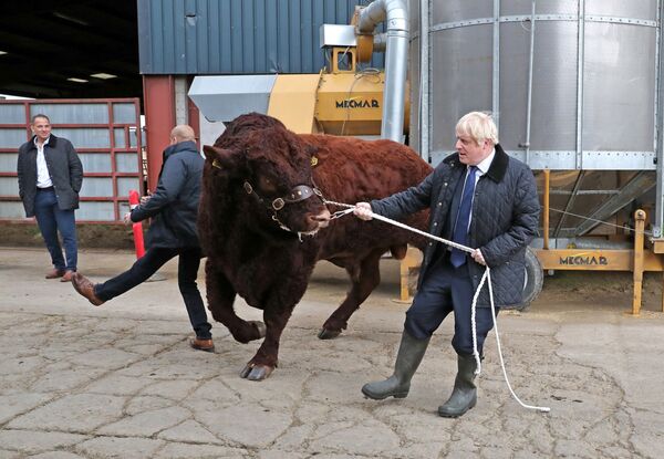 Премьер-министр Великобритании Борис Джонсон посетил ферму в Шотландии - Sputnik Грузия