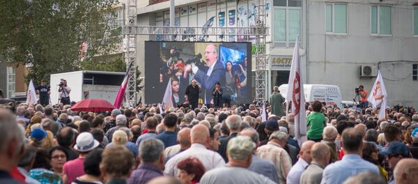 „საქართველოს პატრიოტთა ალიანსის“ საპროტესტო აქცია „საქართველოს პატრიოტთა ალიანსის“ საპროტესტო აქცია - Sputnik საქართველო