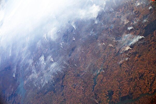 ამაზონის ტყე ორბიტიდან იტალიელი ასტრონავტი ლუკა პარმიტანოს ფოტოზე - Sputnik საქართველო