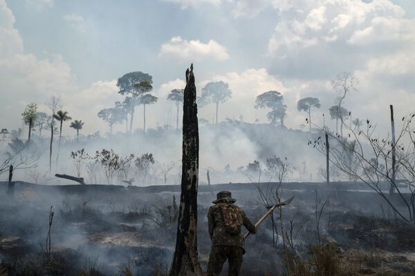 ტყის ხანძრის ჩაქრობა ბრაზილიის ამაზონის ტყეებში - Sputnik საქართველო