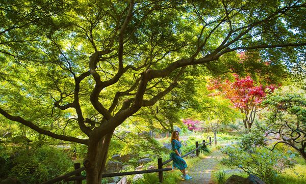 კორეაში მცხოვრები ქართველი სტუდენტის ფერადი ცხოვრება: როგორ გავაგრძელოთ სწავლა კორეაში - Sputnik საქართველო