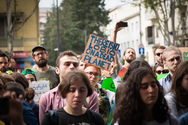 Активисты также держали плакаты с надписью: Не режь дерево, не убивай животных, Из-за твоей политики я болею раком - Sputnik Грузия