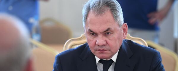 Министр обороны РФ Сергей Шойгу Министр обороны РФ Сергей Шойгу - Sputnik Грузия