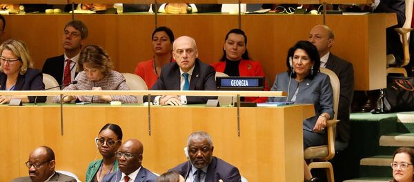 სალომე ზურაბიშვილი სალომე ზურაბიშვილი - Sputnik საქართველო