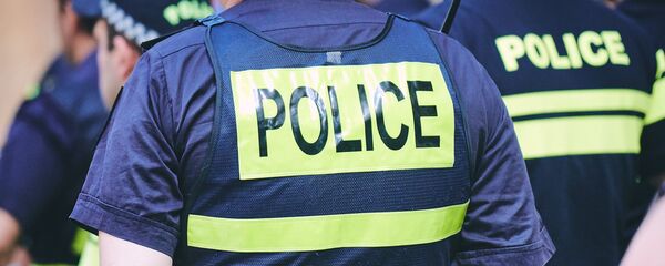 Полицейские - Sputnik Грузия