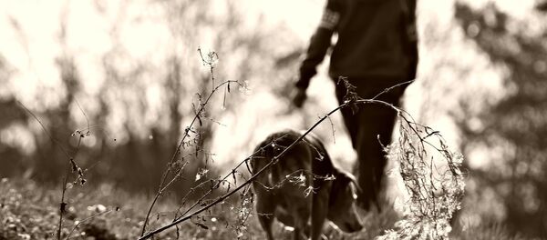 ძაღლი და ბიჭი ძაღლი და ბიჭი - Sputnik საქართველო