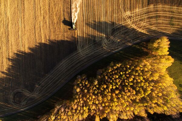Уборка урожая зерновых в Новосибирской области - Sputnik Грузия