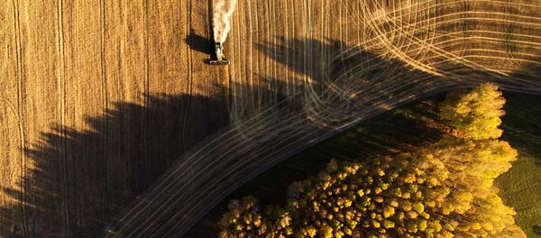 Уборка урожая зерновых в Новосибирской области - Sputnik Грузия