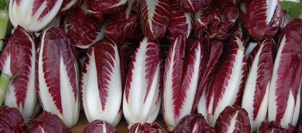 წითელი რედიკიუ  - Sputnik საქართველო