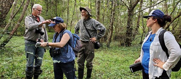 Эксперты Международного союза охраны природы и природных ресурсов в Грузии - Sputnik Грузия