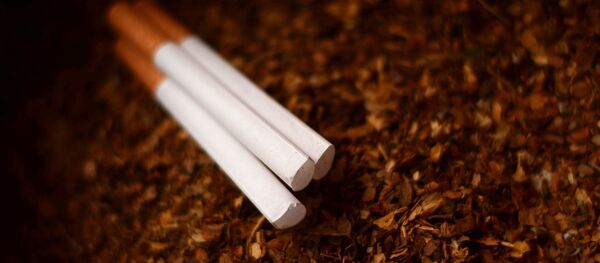 თუთუნი - Sputnik საქართველო