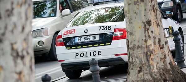 საპატრულო პოლიცია საპატრულო პოლიცია - Sputnik საქართველო