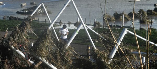 Мощный тайфун Хагибис в Японии - Sputnik Грузия