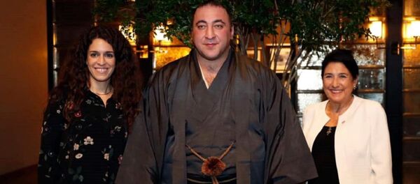 სალომე ზურაბიშვილი ლევან გორგაძეს შეხვდა სალომე ზურაბიშვილი ლევან გორგაძეს შეხვდა - Sputnik საქართველო