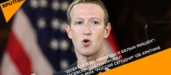 Природа и белые мишки: Facebook заблокировал проект МИА “Россия сегодня” об Арктике - Sputnik Грузия