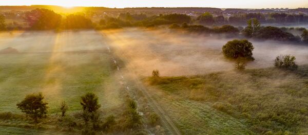 შემოდგომა - Sputnik საქართველო