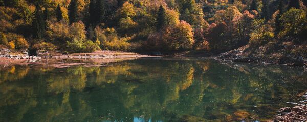 რაჭა რაჭა - Sputnik საქართველო