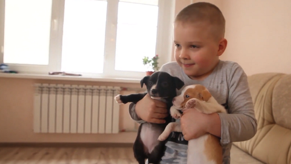 Шестилетний мальчик из России спасает бездомных животных – трогательное видео - Sputnik Грузия