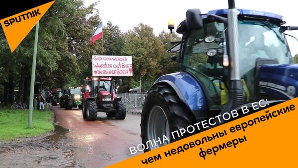 Волна протестов в ЕС: чем недовольны европейские фермеры - Sputnik Грузия