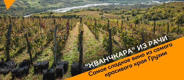 Хванчкара из Рачи: Самое сладкое вино из самого красивого края Грузии - Sputnik Грузия