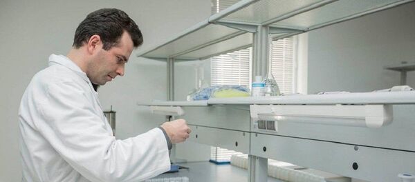 გიორგი ღამბაშიძე - Sputnik საქართველო