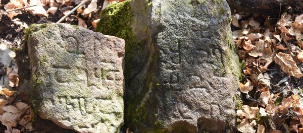 Лапидарное письмо из Тао-Кларджети - Sputnik Грузия