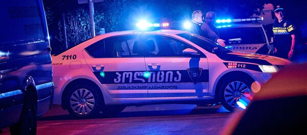 საპატრულო პოლიცია საპატრულო პოლიცია - Sputnik საქართველო