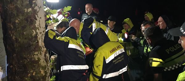 ავტოავარია ხობის მუნიციპალიტეტში ავტოავარია ხობის მუნიციპალიტეტში - Sputnik საქართველო