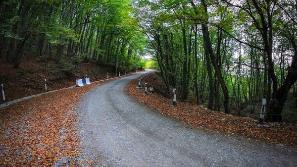 Дорога, ведущая к монастырю Зедазени - Sputnik Грузия