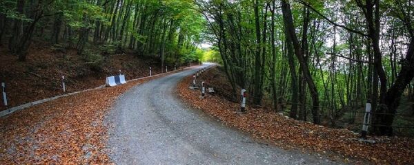 Дорога, ведущая к монастырю Зедазени - Sputnik Грузия