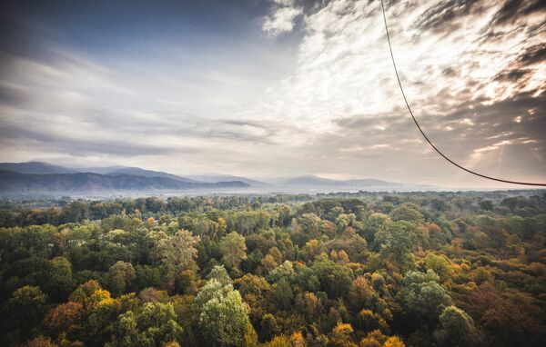 От этих видов - великолепных лесов, прозрачного неба и аромата древности этого винного края - просто захватывает дух - Sputnik Грузия