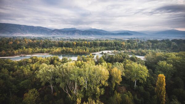 Полет на воздушном шаре над Алазанской долиной - Sputnik Грузия