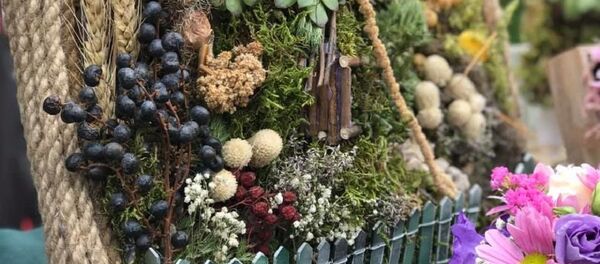 ბოტანიკური ბაღი თბილისში - Sputnik საქართველო