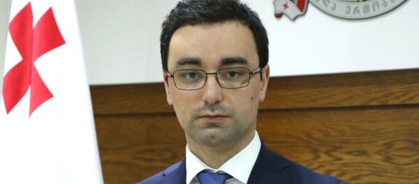 მთავრობის საპარლამენტო მდივანი ბექა დოჭვირი მთავრობის საპარლამენტო მდივანი ბექა დოჭვირი - Sputnik საქართველო