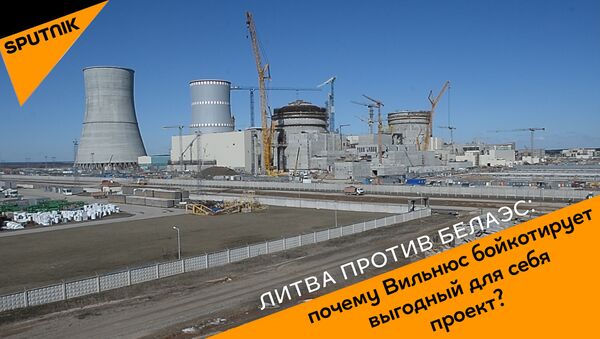 Литва против БелАЭС: почему Вильнюс бойкотирует выгодный для себя проект? - Sputnik Грузия