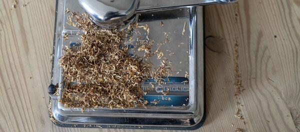 თამბაქო თამბაქო - Sputnik საქართველო