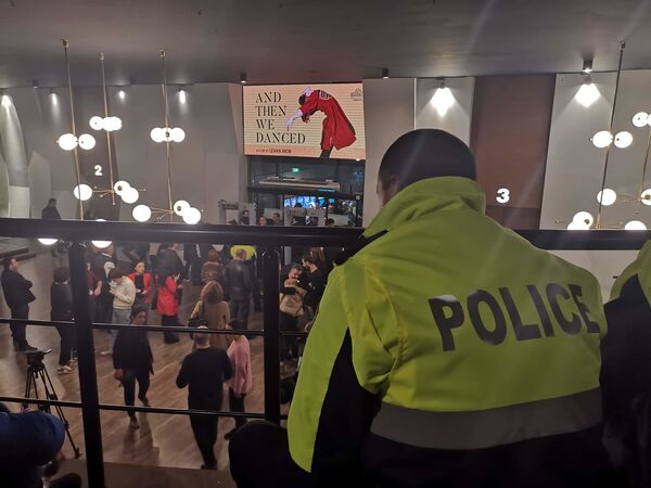 Полиция дежурила не только снаружи, но и внутри кинотеатра Амирани. Внутрь пропускали только зрителей киносеанса и журналистов - Sputnik Грузия