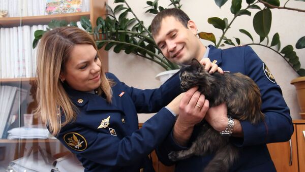 Кошка-наркокурьер поймана с поличным - Sputnik Грузия