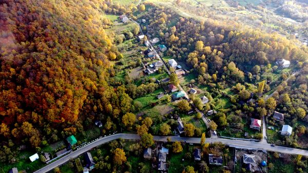 Поразительная осень. Осенние краски Гомбори - Sputnik Грузия