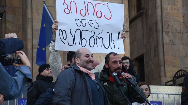 Молодежная акция протеста с требованием принять законо об изменении избирательной системы - Sputnik Грузия